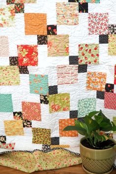 a potted plant sitting next to a quilt