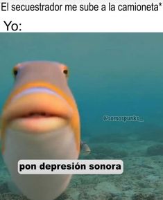 a fish that is looking at the camera with captioning in spanish below it