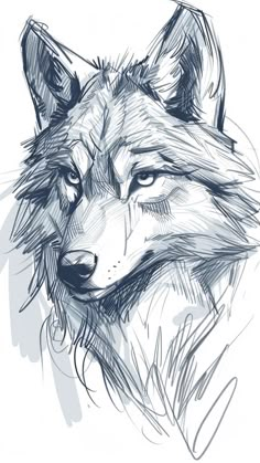 an ink drawing of a wolf's head