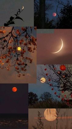 the moon is shining brightly in the night sky over water and trees with red lanterns hanging from them