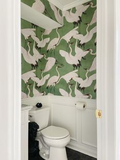 a white toilet sitting in a bathroom next to a green wallpapered wall with birds on it