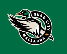 the qud city mallards logo is shown in this file photo provided by the qud city mallard's facebook page