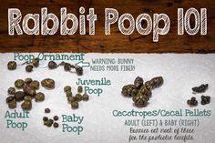 some kind of food that is on top of a towel with the words rabbit poop in it