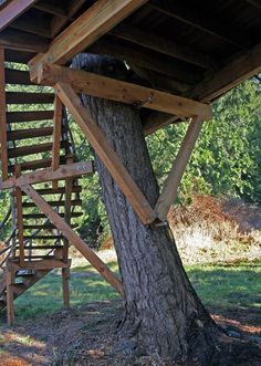 a tree house built around a large tree