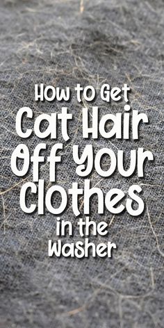 the words how to get cat hair off your clothes in the washer