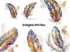 six watercolor feathers with different colors and sizes on them, all in different styles