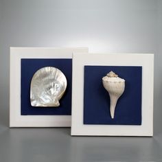 two seashells mounted in white and blue frames