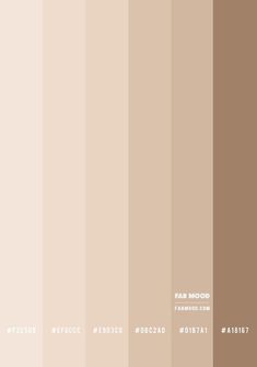 an image of the same color scheme for different things in the world that are brown and beige