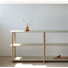 an empty shelf with a vase on top and some plants in the bottom, against a white wall