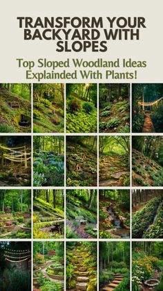 the cover of transform your backyard with sloped woodland ideas expanded with plants