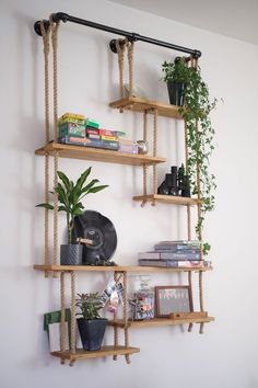 some shelves with plants and books on them