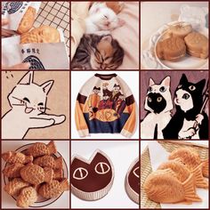 there are many pictures of cats and cookies