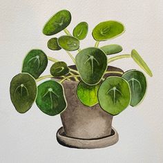 a painting of a potted plant with green leaves