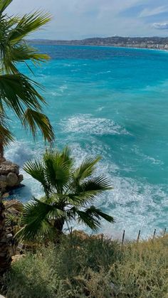 the ocean is blue and green with waves coming in from the shore, while palm trees stand on the cliff edge