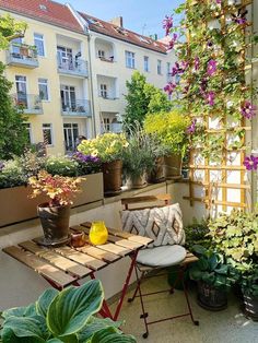 an outdoor patio with potted plants and flowers