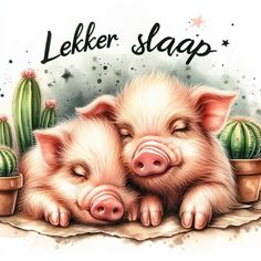 two little pigs cuddling next to each other in front of cacti and the words leker slap