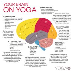 the diagram shows how to use your brain on yoga