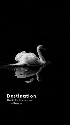 This captivating image of a swan on dark water, paired with a powerful quote about destinations, fuels our wanderlust.  Perfect for:  ✈️ Travel inspiration & dream boards ✨ Motivational art for your home 💭 Sparking reflection on life's journey  Find more inspiring travel quotes on my page. Save this pin and start planning your next adventure! #travelquotes #destinationinspiration #wanderlust #swanart #journeyquotes #inspirationalart #travelphotography #exploretheworld #adventureawaits #lifepath Swan Quotes, Dream Boards, The Journey Quotes, Swans Art, Dark Water, Journey Quotes, Adventure Quotes, Motivational Art, Art For Your Home