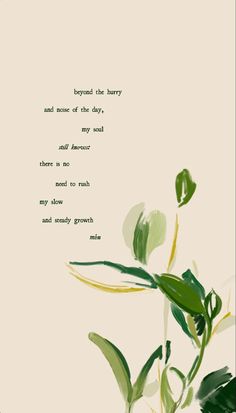 a plant with green leaves and the words beyond it