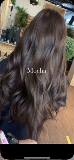 Old Money Brown Balayage, Colours To Dye Brown Hair, Pale Skin Brunette Balayage, Neutral Brown Balayage On Black Hair, Dark Brown With Natural Highlights, Cool Toned Babylights Brunette, Dark Ashy Brunette Hair, Dark Brown Hair For Neutral Skin Tone, Cool Tone Brunette Hair Color