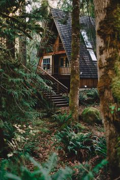 a cabin in the woods with stairs leading up to it