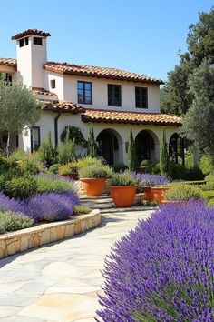 a large house with lots of plants in the front yard and lavender bushes on either side