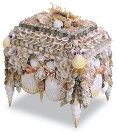 an arrangement of seashells and shells on a table