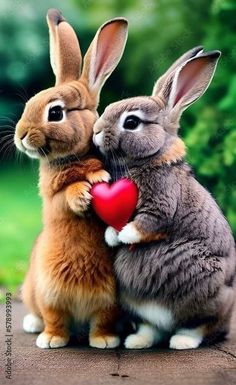 two rabbits sitting next to each other holding a heart