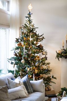 a living room with a christmas tree in the corner