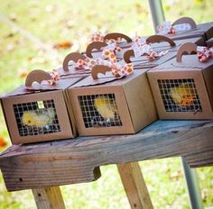 several boxes with yellow birds in them sitting on a wooden table outside at an outdoor event