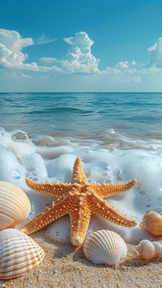 starfish and seashells on sandy beach with ocean waves