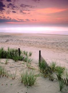 the beach is covered in sand and grass as the sun sets over the ocean behind it