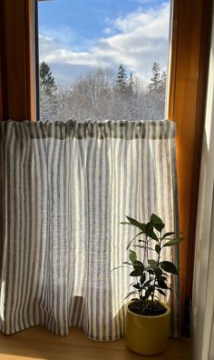 a potted plant sitting on top of a window sill next to a curtain