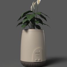 there is a plant that is in the air purifix humider with flowers on it