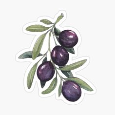 an olive branch with green leaves sticker on a white background, watercolor painting