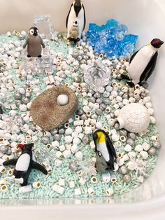 there are many penguins in the bathtub with rocks and pebbles on the bottom floor