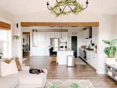 a living room filled with furniture and a dog laying on the floor