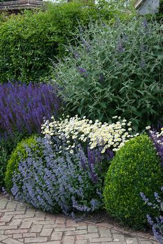 a garden filled with lots of purple and white flowers next to a brick walkway in front of