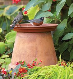 two birds are perched on top of a planter