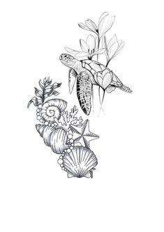 a drawing of flowers and a turtle on a white background with the words sea life