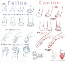 the foot chart shows how to draw feet