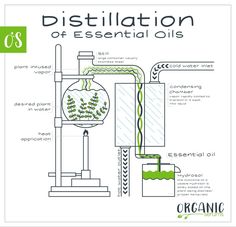 the diagram shows how to use distillation for essential oils and other uses