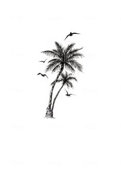 a black and white drawing of a palm tree with birds flying around it in the sky