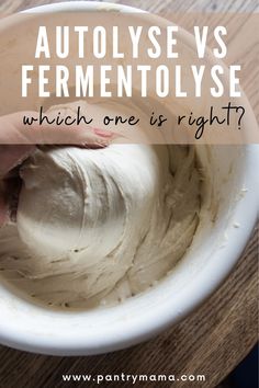 a person is kneading something in a bowl with the words autolyse vs fermentolyse which one is right?