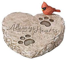 a bird sitting on top of a heart shaped rock with paw prints and the words always hearts