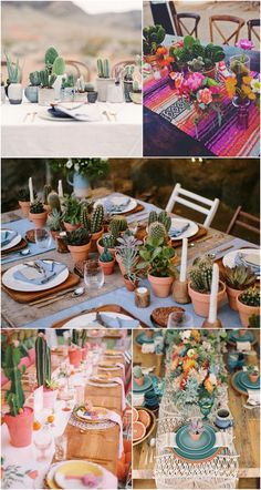 the table is set with cactus and succulents