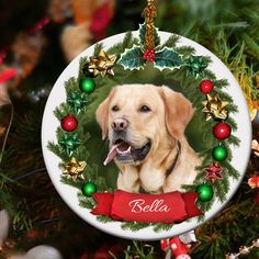 a christmas ornament with a dog's face and name on the front