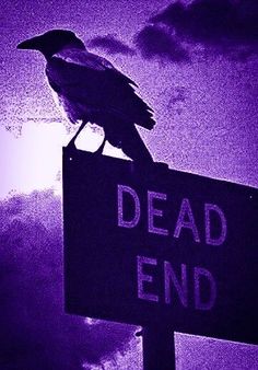 a black bird sitting on top of a dead end sign in the dark night sky