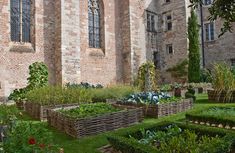 an old brick building with lots of plants growing in it