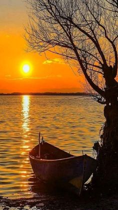 a boat sitting on top of a body of water under a tree with the sun setting in the background